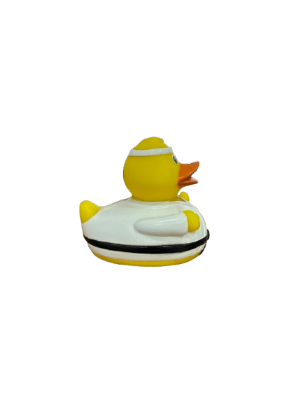 Karate Patkica