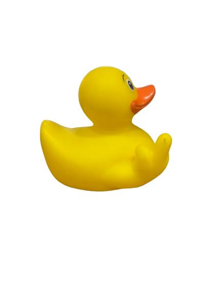 Prosta Patkica