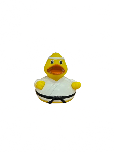 Karate Patkica