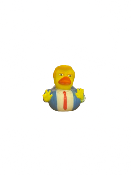 Patkica Donald Trump